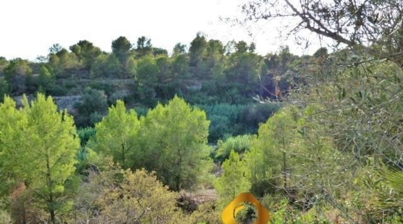 Castellón - Almassora - 2566m2