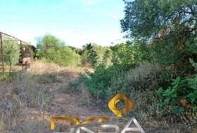 Almassora 2566&nbsp;m²