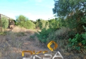 Terreno no urbanizable en venta en la España, Almassora, ref: TR413430 foto