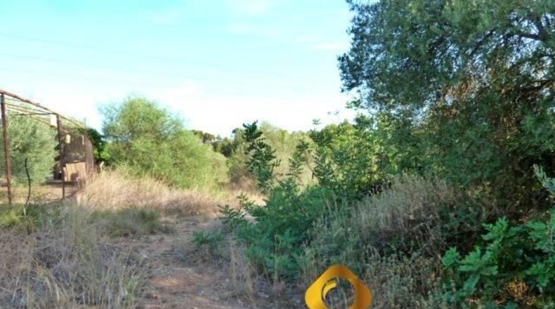 Castellón - Almassora - 2566m2