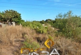 Almassora 2566&nbsp;m²