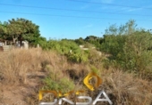 Terreno no urbanizable en venta en la España, Almassora, ref: TR413430 foto