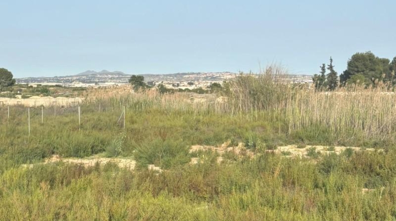 Murcia - Ceutí - 4408m2