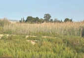 Terreno no urbanizable en venta en la España, Ceutí, ref: TR413433 foto