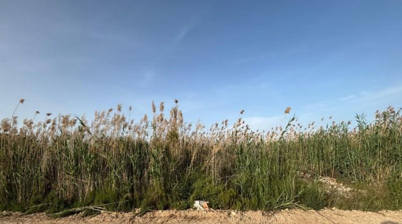 Murcia - Ceutí - 4408m2