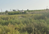 Terreno no urbanizable en venta en la España, Ceutí, ref: TR413433 foto