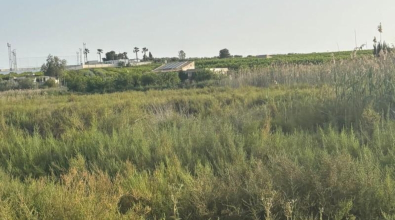 Murcia - Ceutí - 4408m2