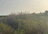 Terreno no urbanizable en venta en la España, Ceutí, ref: TR413433 foto
