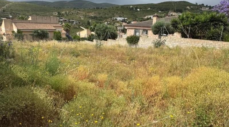 Valencia - Montroy - 613m2