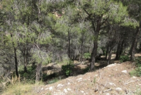 Foto 13