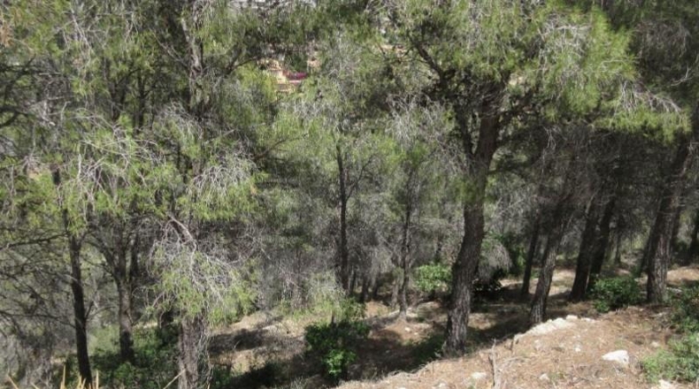 Alicante - Altea - 858m2