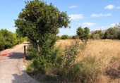 Non-developable land for sale on España, Murcia, ref: TR413457 photo