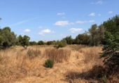 Non-developable land for sale on España, Murcia, ref: TR413457 photo