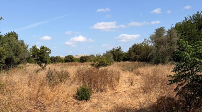 Murcia - Múrcia - 4300m2