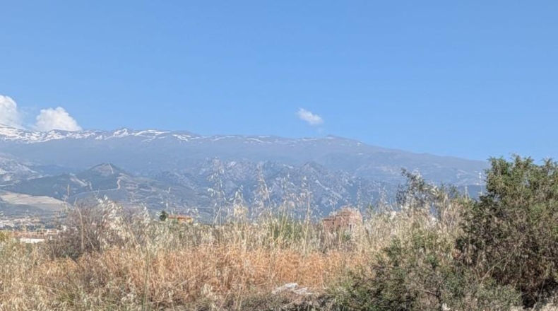 Granada - Alhendín - 458m2