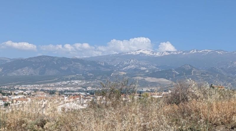 Granada - Alhendín - 458m2