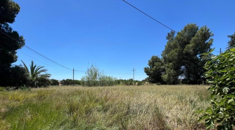 Comunidad de Madrid - Madrid - 1318m2