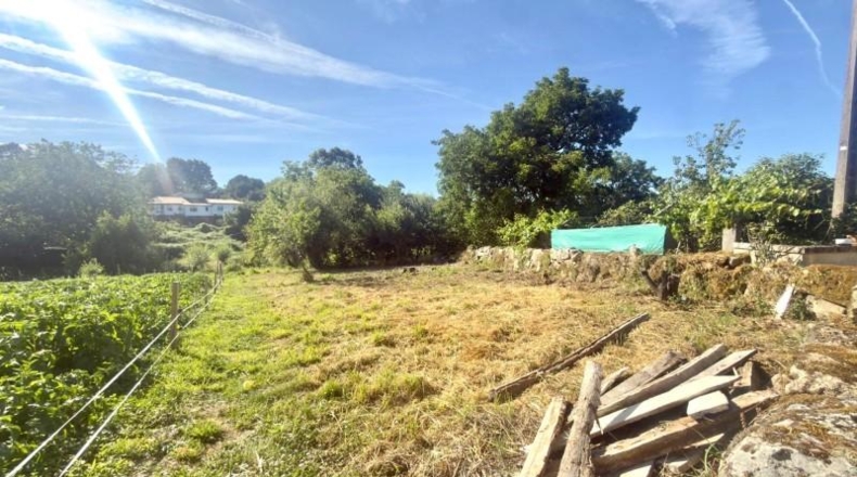 Orense - Nogueira - 350m2