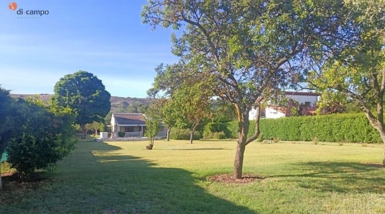 Valladolid - Castrillo-Tejeriego - 2371m2