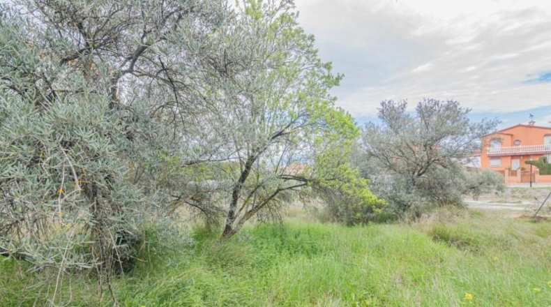 Granada - Güéjar Sierra - 500m2