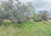Parcela urbanizable en venta en la España, Güéjar Sierra, ref: TR413477 foto
