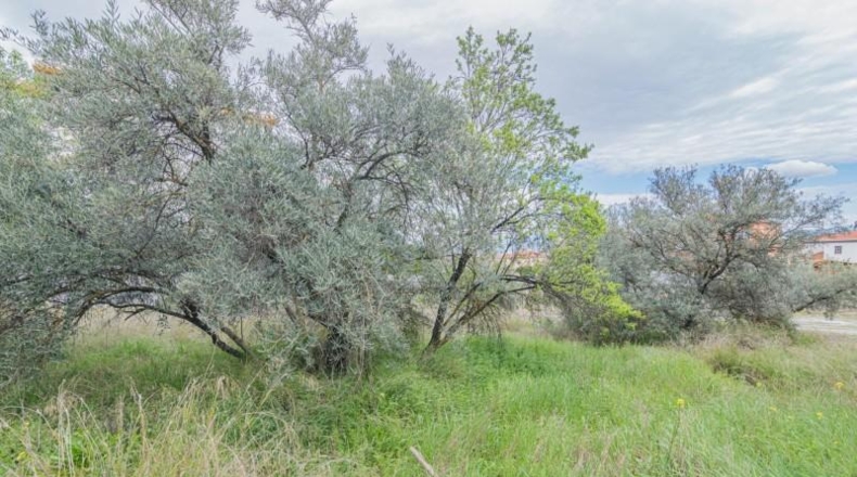 Granada - Güéjar Sierra - 500m2
