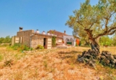 Chalet independiente con terreno en venta en la España, Roquetes, ref: TR413479 foto