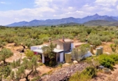 Chalet independiente con terreno en venta en la España, Roquetes, ref: TR413479 foto