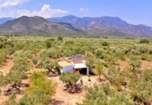 Chalet independiente con terreno en venta en la España, Roquetes, ref: TR413479 foto