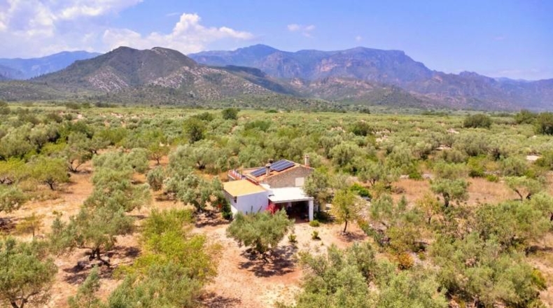 Tarragona - Roquetes - 15588m2