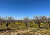 Non-developable land for sale on España, Dílar, ref: TR413483 photo
