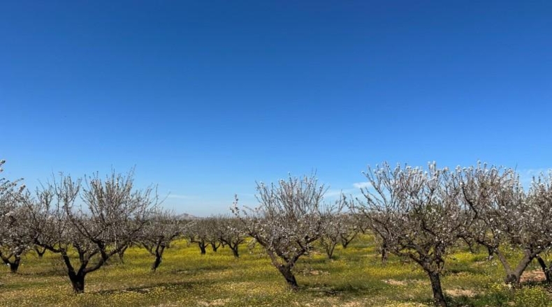 Granada - Dílar - 66535m2