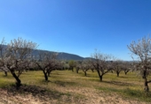 Non-developable land for sale on España, Dílar, ref: TR413483 photo