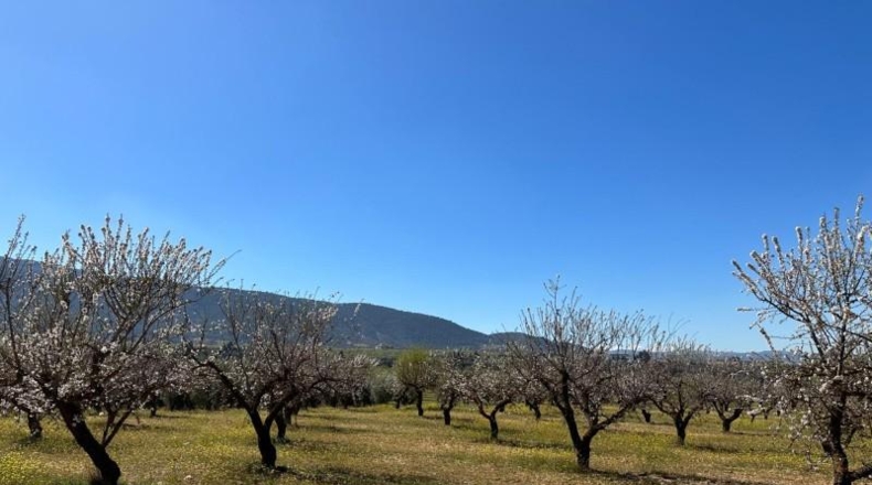 Granada - Dílar - 66535m2