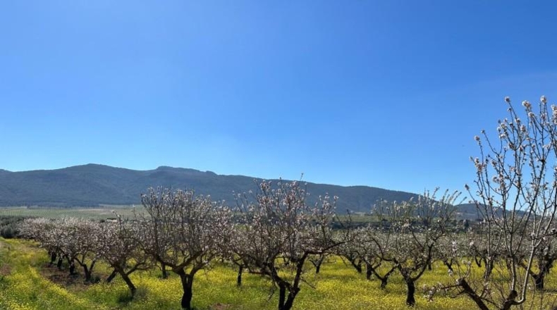 Granada - Dílar - 66535m2