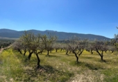 Non-developable land for sale on España, Dílar, ref: TR413483 photo