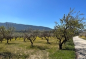 Non-developable land for sale on España, Dílar, ref: TR413483 photo