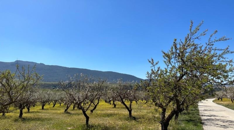 Granada - Dílar - 66535m2