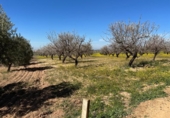 Non-developable land for sale on España, Dílar, ref: TR413483 photo