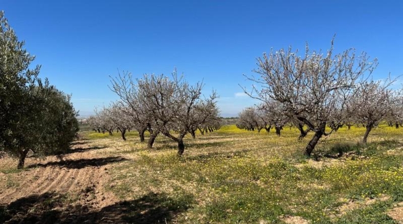 Granada - Dílar - 66535m2