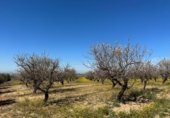 Non-developable land for sale on España, Dílar, ref: TR413483 photo