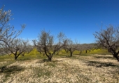 Non-developable land for sale on España, Dílar, ref: TR413483 photo