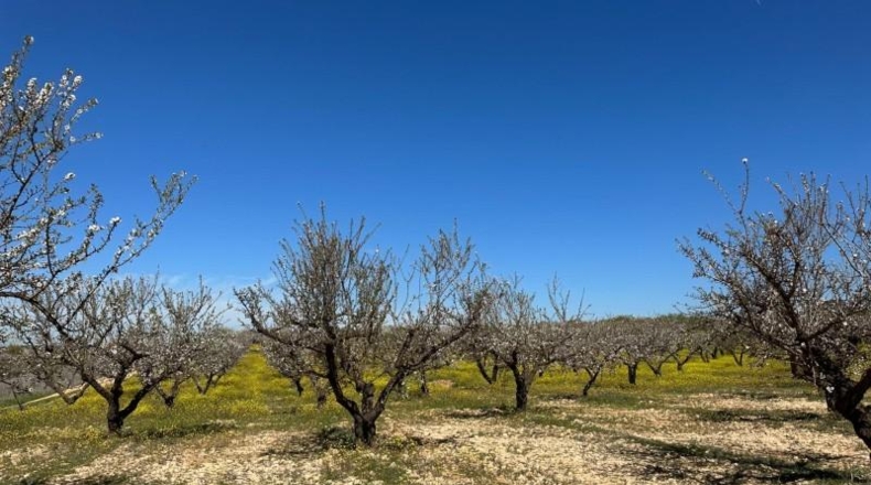 Granada - Dílar - 66535m2