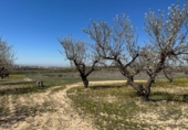 Non-developable land for sale on España, Dílar, ref: TR413483 photo