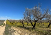 Non-developable land for sale on España, Dílar, ref: TR413483 photo