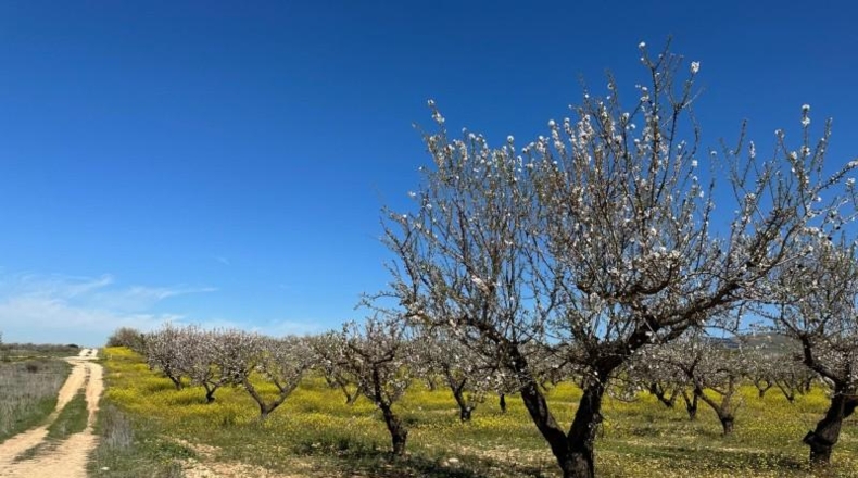 Granada - Dílar - 66535m2