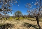 Non-developable land for sale on España, Dílar, ref: TR413483 photo