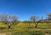 Non-developable land for sale on España, Dílar, ref: TR413483 photo