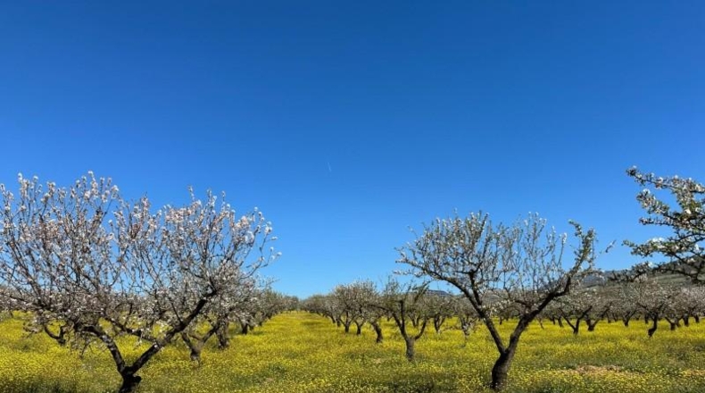 Granada - Dílar - 66535m2