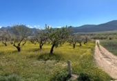 Non-developable land for sale on España, Dílar, ref: TR413483 photo